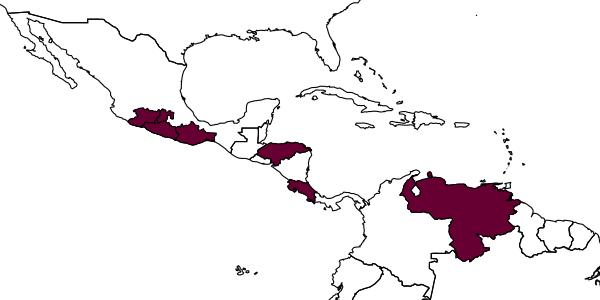 map of Ceranisus hoddlei     Triapitsyn & Morse, 2005